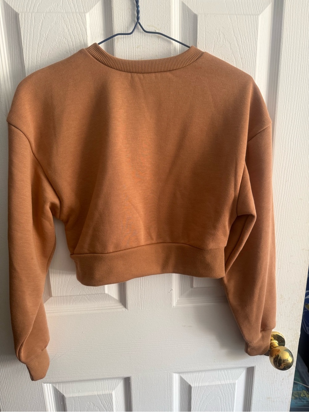 Forever 21 Cropped Sweatshirt in Rust Brown